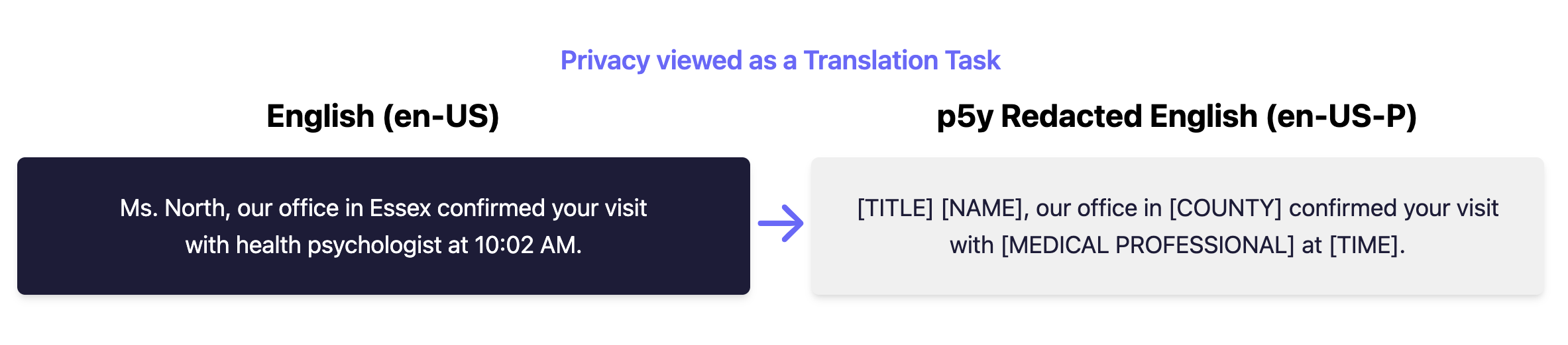 Diagram depicting p5y privacy masking as a translation task